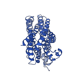 36638_8jta_A_v1-2
Human VMAT2 complex with tetrabenazine