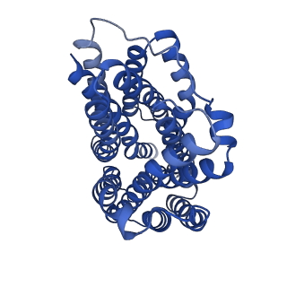 36640_8jtc_A_v1-2
Human VMAT2 complex with reserpine