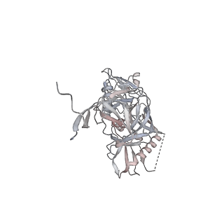 36641_8jtd_A_v1-0
BJOX2000.664 trimer in complex with Fab fragment of broadly neutralizing HIV antibody PGT145