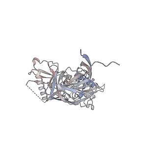 36641_8jtd_C_v1-0
BJOX2000.664 trimer in complex with Fab fragment of broadly neutralizing HIV antibody PGT145