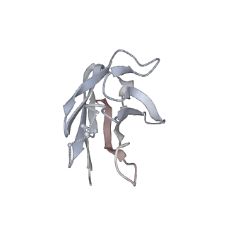 36641_8jtd_N_v1-0
BJOX2000.664 trimer in complex with Fab fragment of broadly neutralizing HIV antibody PGT145