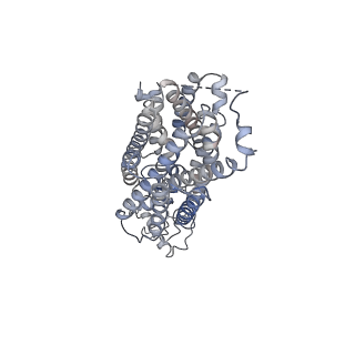 36654_8jtw_A_v1-0
hOCT1 in complex with nb5660 in inward facing partially open 1 conformation