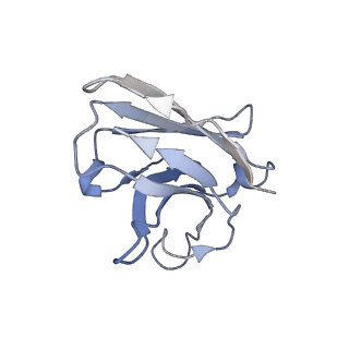 36654_8jtw_B_v1-0
hOCT1 in complex with nb5660 in inward facing partially open 1 conformation