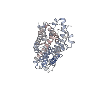 36655_8jtx_A_v1-0
hOCT1 in complex with nb5660 in inward facing fully open conformation