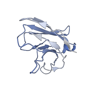 36655_8jtx_B_v1-0
hOCT1 in complex with nb5660 in inward facing fully open conformation