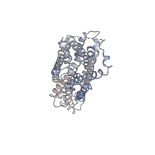 36656_8jty_A_v1-0
hOCT1 in complex with nb5660 in inward facing partially open 2 conformation