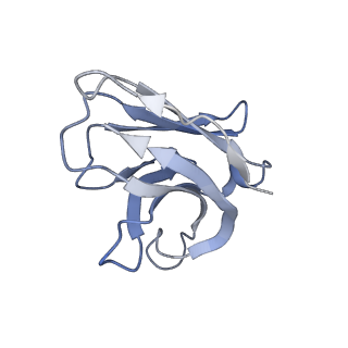 36656_8jty_B_v1-0
hOCT1 in complex with nb5660 in inward facing partially open 2 conformation