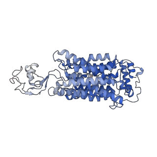 36657_8jtz_A_v1-0
hOCT1 in complex with spironolactone in outward facing partially occluded conformation