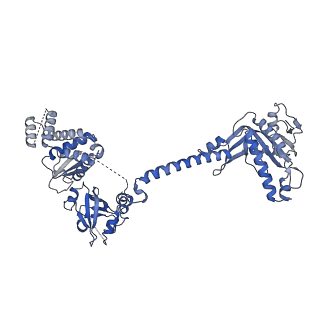 9884_6jt1_A_v1-4
Structure of human soluble guanylate cyclase in the heme oxidised state