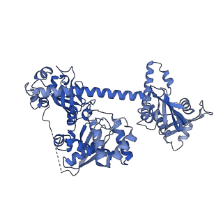 9884_6jt1_B_v1-4
Structure of human soluble guanylate cyclase in the heme oxidised state