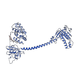 9885_6jt2_A_v1-4
Structure of human soluble guanylate cyclase in the NO activated state