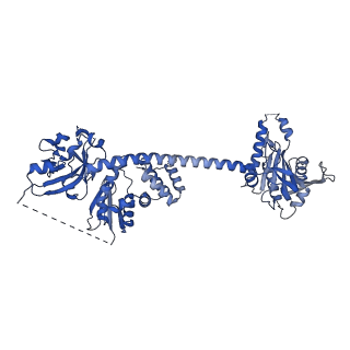 9885_6jt2_B_v1-3
Structure of human soluble guanylate cyclase in the NO activated state