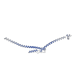 22481_7ju4_1_v1-3
Radial spoke 2 stalk, IDAc, and N-DRC attached with doublet microtubule