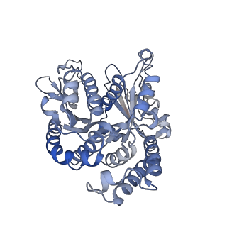 22481_7ju4_6_v1-3
Radial spoke 2 stalk, IDAc, and N-DRC attached with doublet microtubule