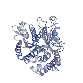 22481_7ju4_7_v1-3
Radial spoke 2 stalk, IDAc, and N-DRC attached with doublet microtubule