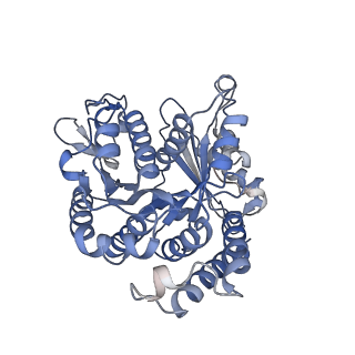 22481_7ju4_8_v1-3
Radial spoke 2 stalk, IDAc, and N-DRC attached with doublet microtubule