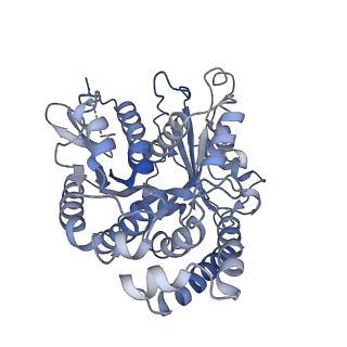 22481_7ju4_9_v1-3
Radial spoke 2 stalk, IDAc, and N-DRC attached with doublet microtubule