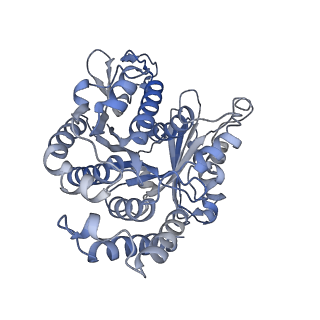 22481_7ju4_C_v1-3
Radial spoke 2 stalk, IDAc, and N-DRC attached with doublet microtubule