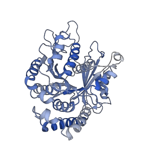 22481_7ju4_D_v1-3
Radial spoke 2 stalk, IDAc, and N-DRC attached with doublet microtubule