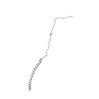 22481_7ju4_F_v1-3
Radial spoke 2 stalk, IDAc, and N-DRC attached with doublet microtubule