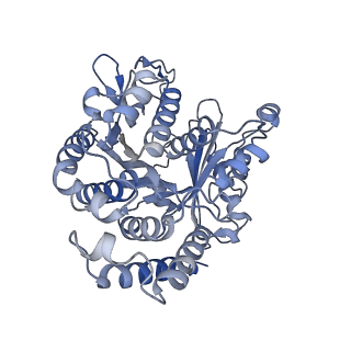 22481_7ju4_I_v1-3
Radial spoke 2 stalk, IDAc, and N-DRC attached with doublet microtubule