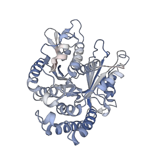 22481_7ju4_J_v1-3
Radial spoke 2 stalk, IDAc, and N-DRC attached with doublet microtubule