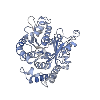 22481_7ju4_K_v1-3
Radial spoke 2 stalk, IDAc, and N-DRC attached with doublet microtubule