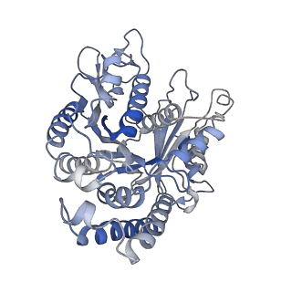 22481_7ju4_L_v1-3
Radial spoke 2 stalk, IDAc, and N-DRC attached with doublet microtubule