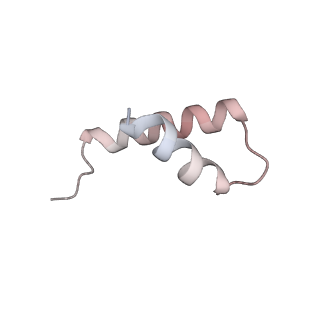 22481_7ju4_N_v1-3
Radial spoke 2 stalk, IDAc, and N-DRC attached with doublet microtubule