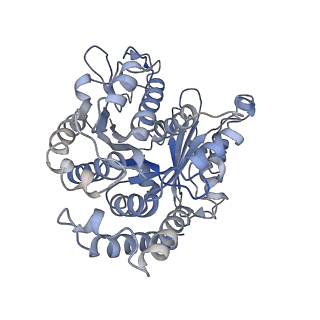 22481_7ju4_O_v1-3
Radial spoke 2 stalk, IDAc, and N-DRC attached with doublet microtubule