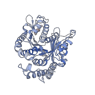 22481_7ju4_Q_v1-3
Radial spoke 2 stalk, IDAc, and N-DRC attached with doublet microtubule