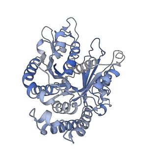 22481_7ju4_R_v1-3
Radial spoke 2 stalk, IDAc, and N-DRC attached with doublet microtubule