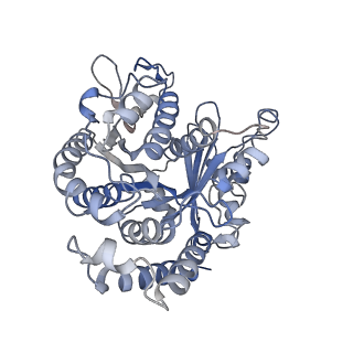 22481_7ju4_S_v1-3
Radial spoke 2 stalk, IDAc, and N-DRC attached with doublet microtubule