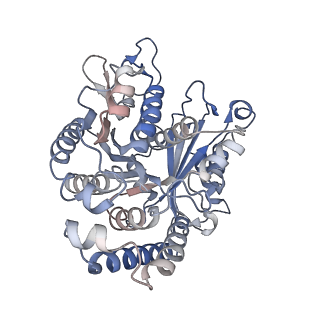 22481_7ju4_T_v1-3
Radial spoke 2 stalk, IDAc, and N-DRC attached with doublet microtubule