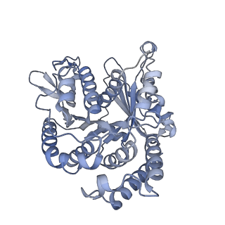 22481_7ju4_W_v1-3
Radial spoke 2 stalk, IDAc, and N-DRC attached with doublet microtubule