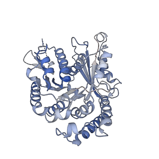 22481_7ju4_X_v1-3
Radial spoke 2 stalk, IDAc, and N-DRC attached with doublet microtubule