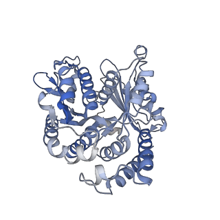 22481_7ju4_Y_v1-3
Radial spoke 2 stalk, IDAc, and N-DRC attached with doublet microtubule