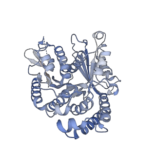 22481_7ju4_Z_v1-3
Radial spoke 2 stalk, IDAc, and N-DRC attached with doublet microtubule