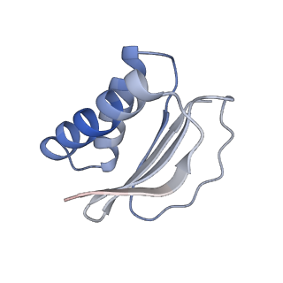 22481_7ju4_a_v1-3
Radial spoke 2 stalk, IDAc, and N-DRC attached with doublet microtubule