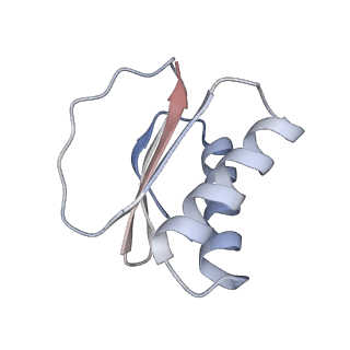 22481_7ju4_b_v1-3
Radial spoke 2 stalk, IDAc, and N-DRC attached with doublet microtubule