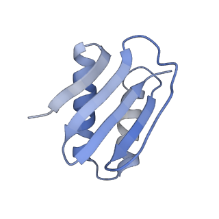 22481_7ju4_f_v1-3
Radial spoke 2 stalk, IDAc, and N-DRC attached with doublet microtubule