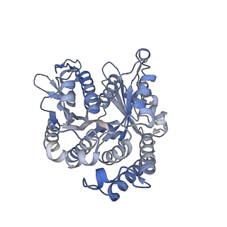 22481_7ju4_i_v1-3
Radial spoke 2 stalk, IDAc, and N-DRC attached with doublet microtubule