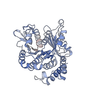 22481_7ju4_k_v1-3
Radial spoke 2 stalk, IDAc, and N-DRC attached with doublet microtubule