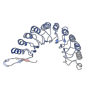 22481_7ju4_l_v1-3
Radial spoke 2 stalk, IDAc, and N-DRC attached with doublet microtubule