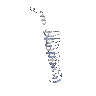 22481_7ju4_m_v1-2
Radial spoke 2 stalk, IDAc, and N-DRC attached with doublet microtubule