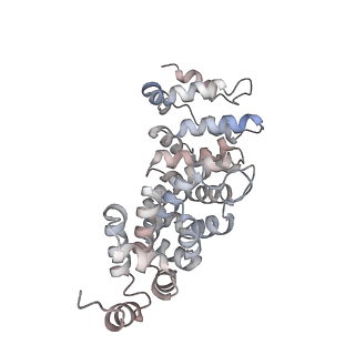 22481_7ju4_n_v1-3
Radial spoke 2 stalk, IDAc, and N-DRC attached with doublet microtubule