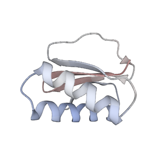 22481_7ju4_o_v1-3
Radial spoke 2 stalk, IDAc, and N-DRC attached with doublet microtubule