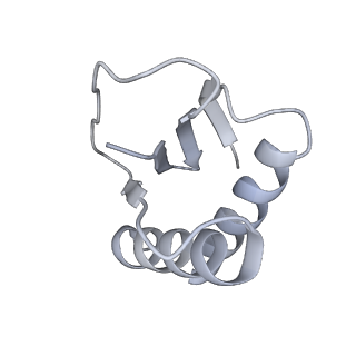 22481_7ju4_q_v1-3
Radial spoke 2 stalk, IDAc, and N-DRC attached with doublet microtubule