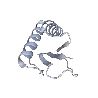 22481_7ju4_r_v1-3
Radial spoke 2 stalk, IDAc, and N-DRC attached with doublet microtubule