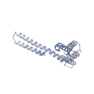 22481_7ju4_s_v1-3
Radial spoke 2 stalk, IDAc, and N-DRC attached with doublet microtubule